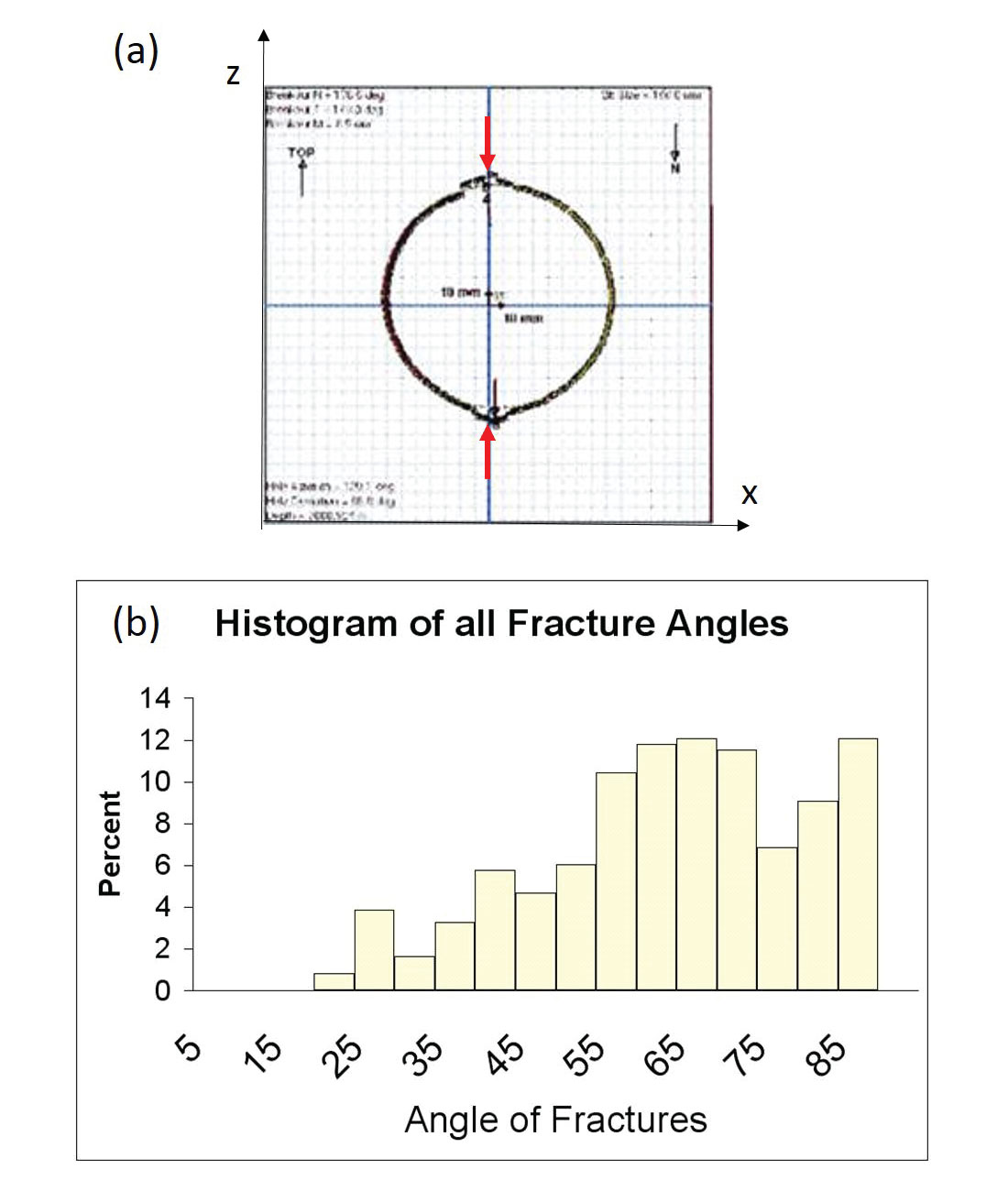 Fig. 07