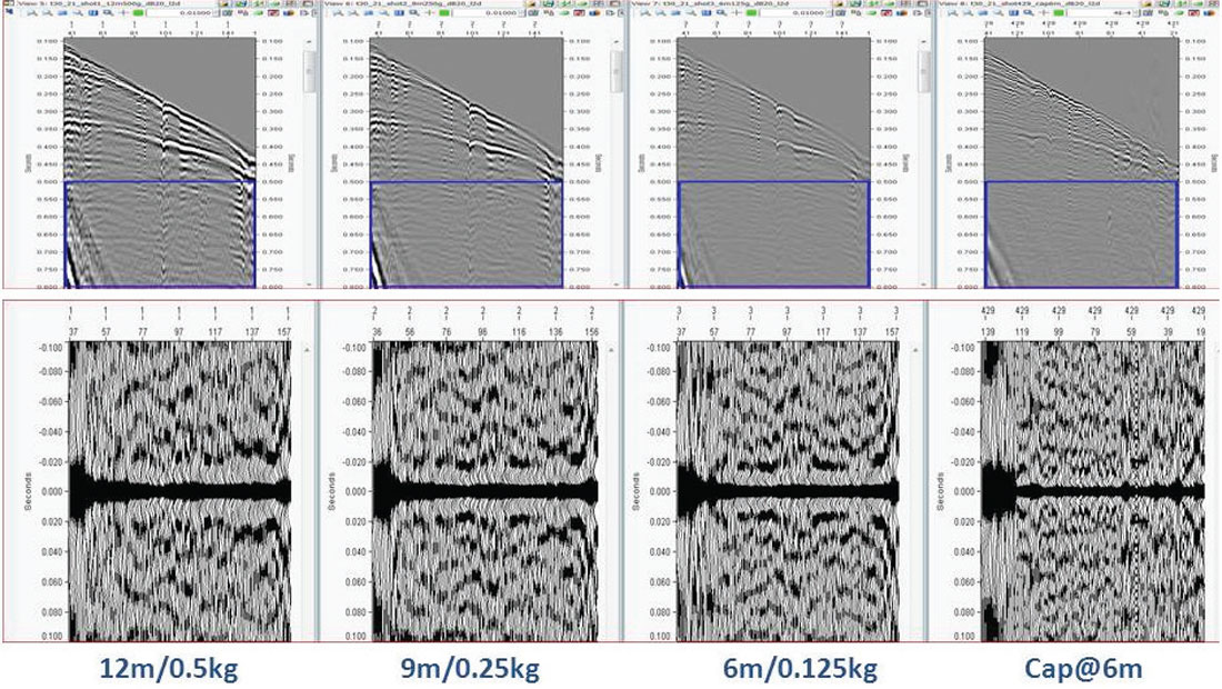 Fig. 06