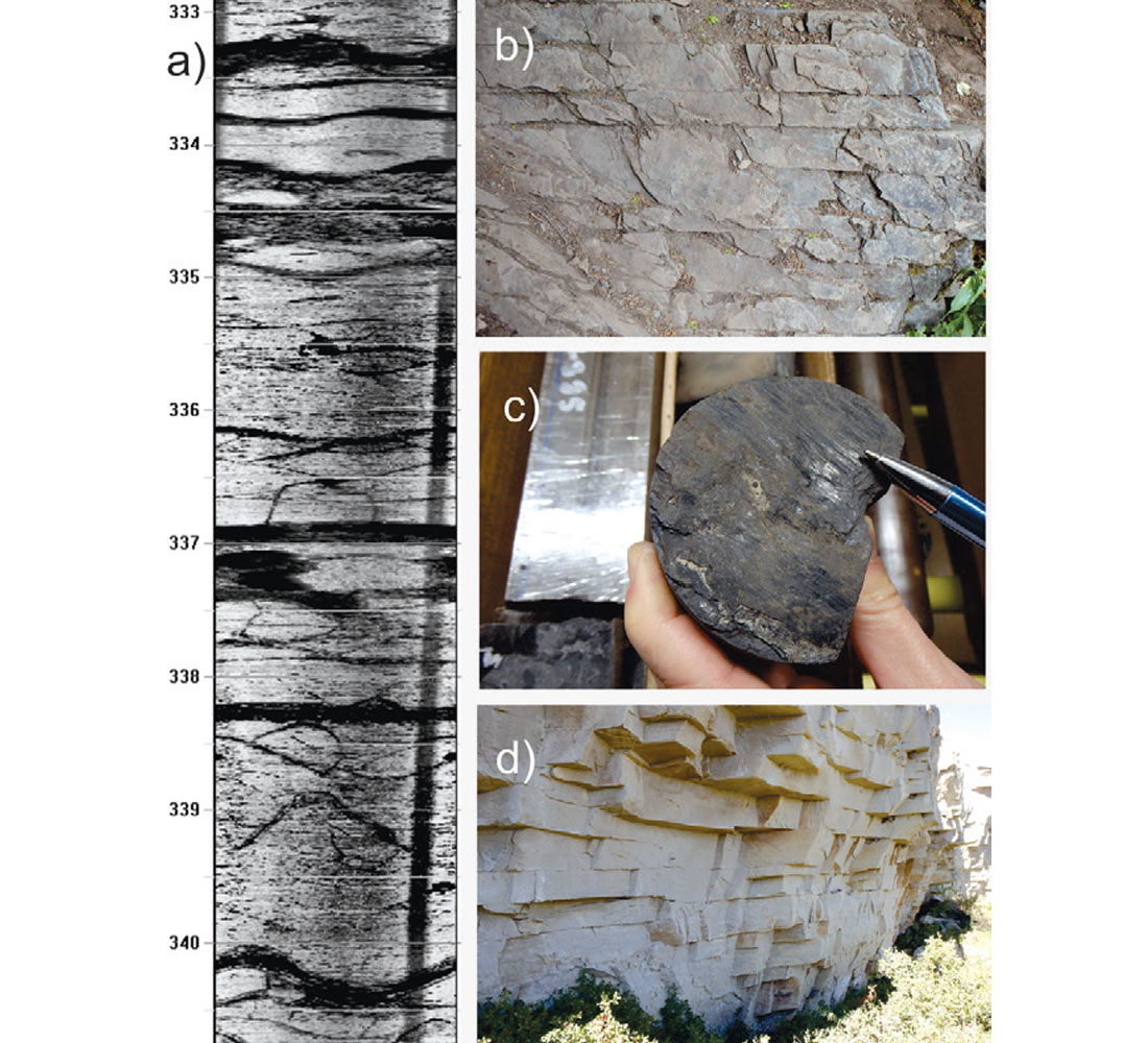 Fig. 01