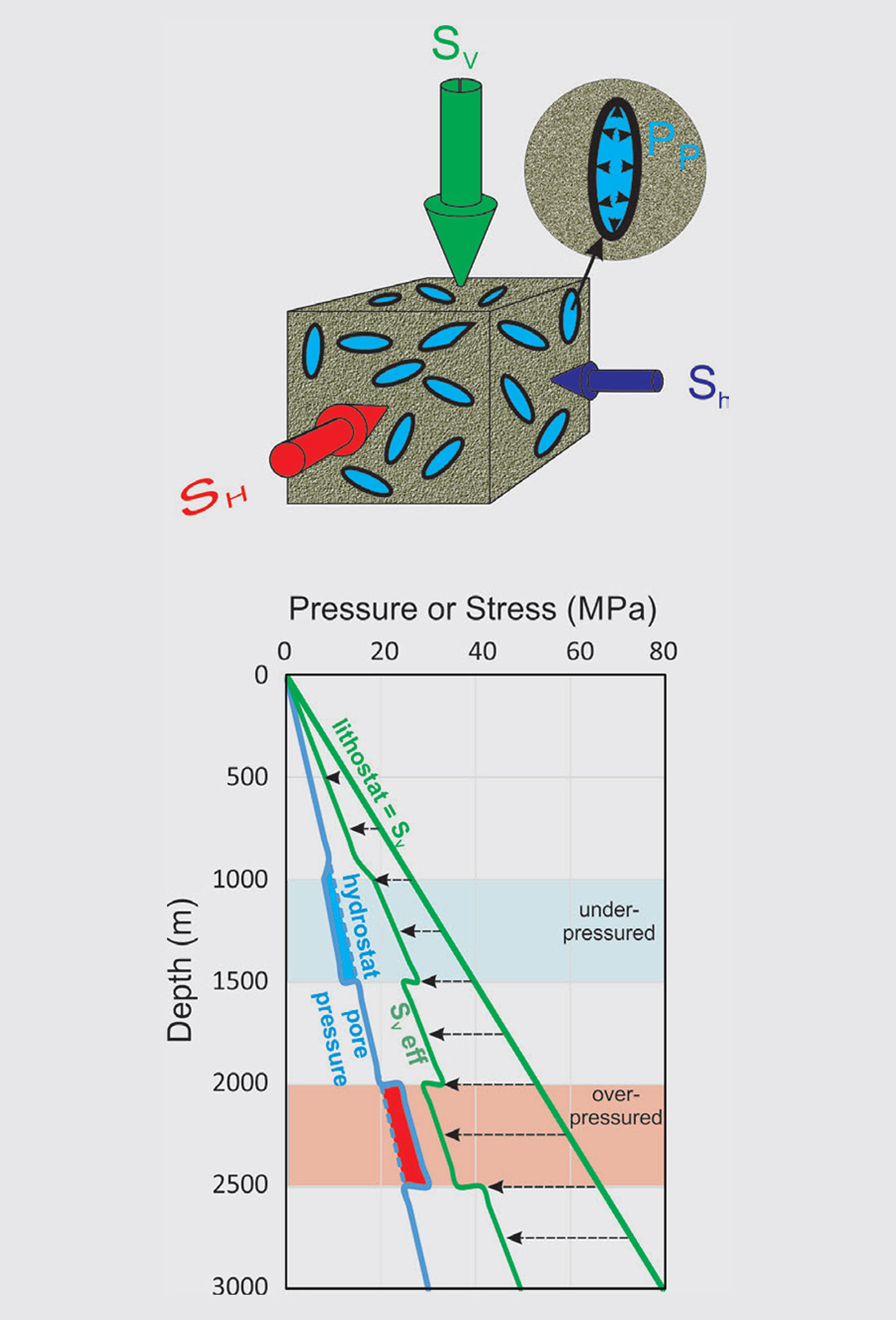 Fig. 02