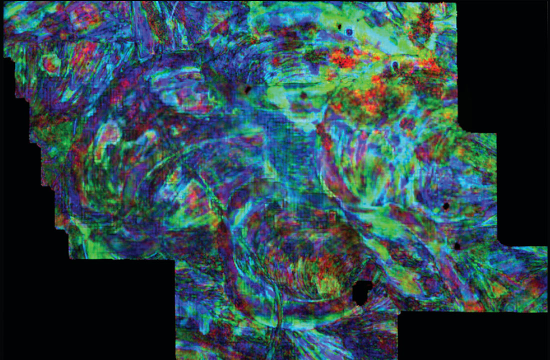 Fig. 06
