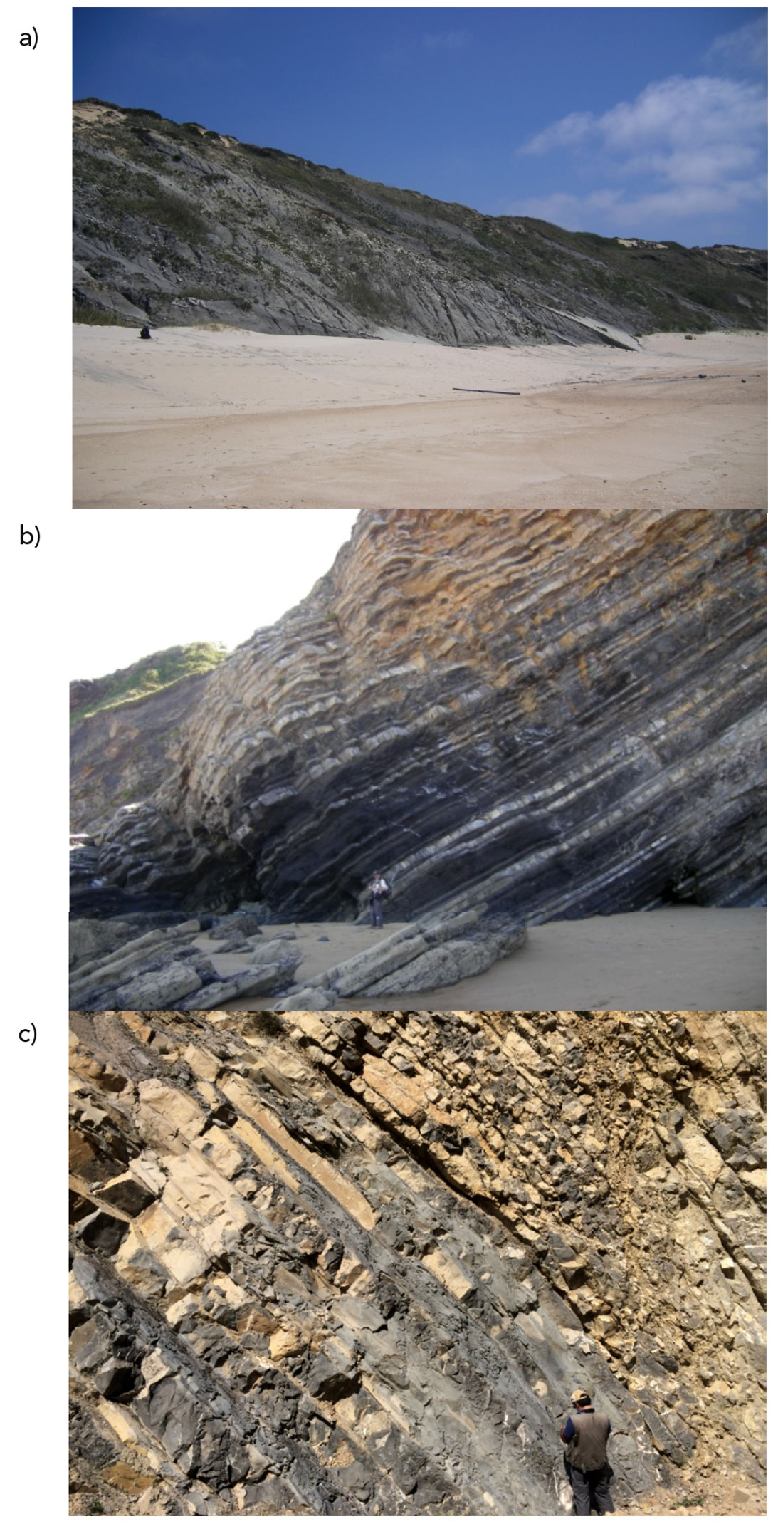 Fig. 05
