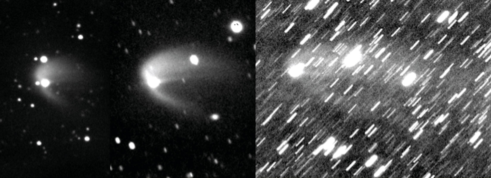 Fig. 10