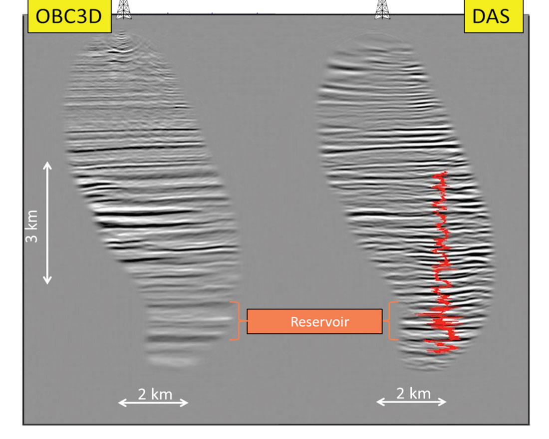 Fig. 06
