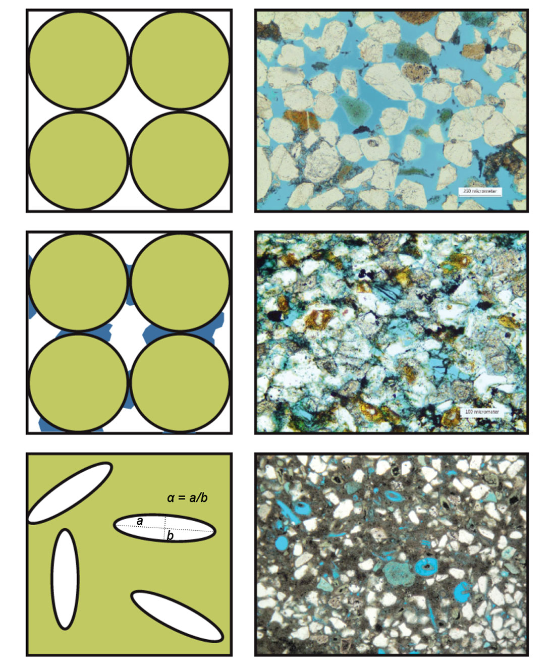 Fig. 07