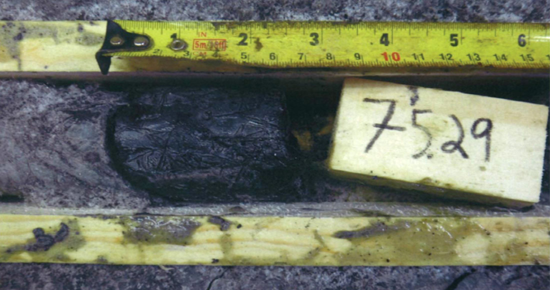 Fig. 04