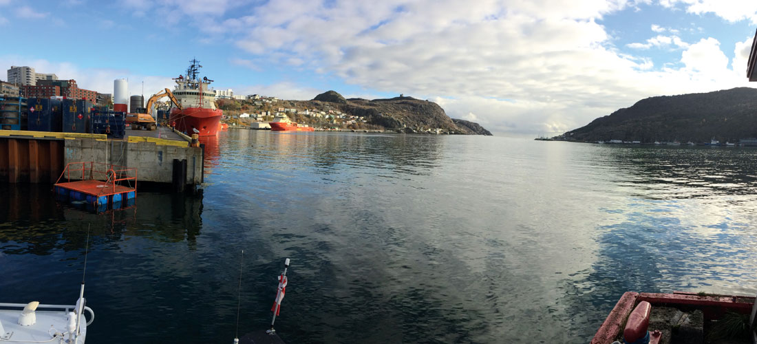 St. John’s harbour in the sunshine