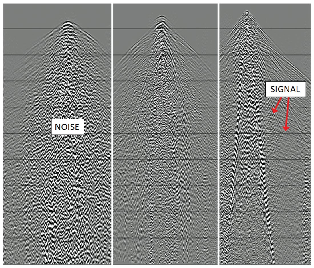 Fig. 01