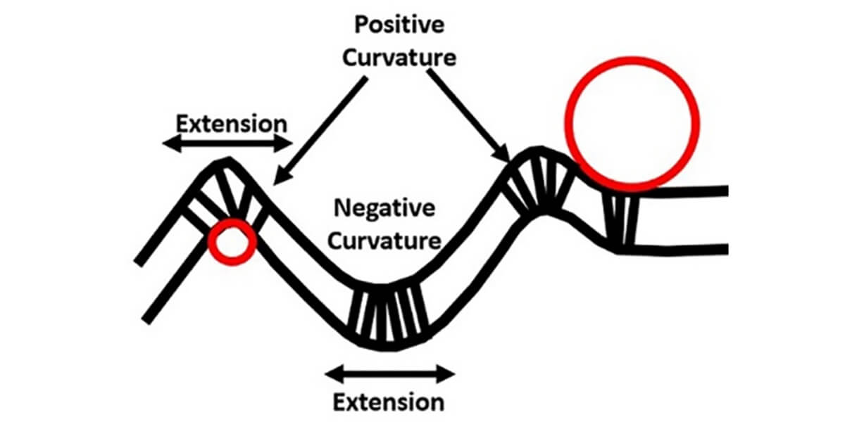 Fig. 10