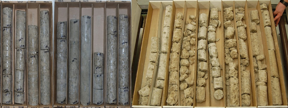 Fig. 06