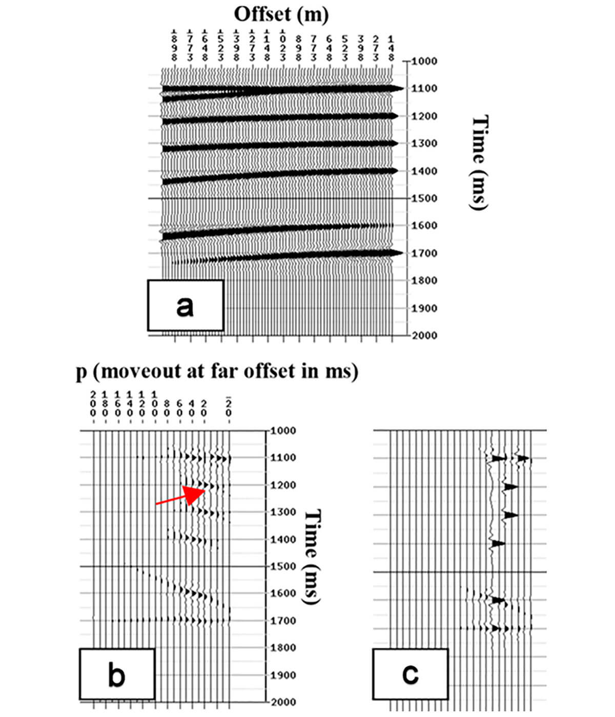 Fig. 01