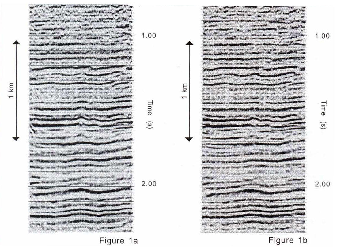 Fig. 01
