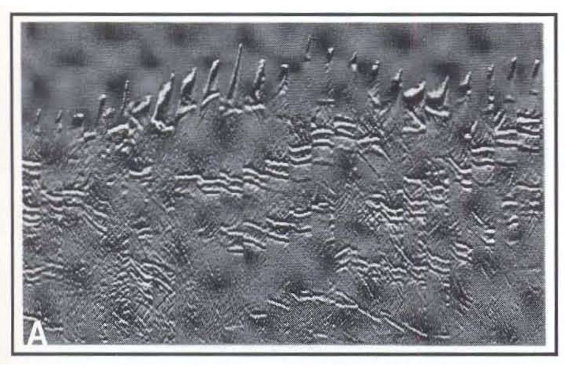 Fig. 05a