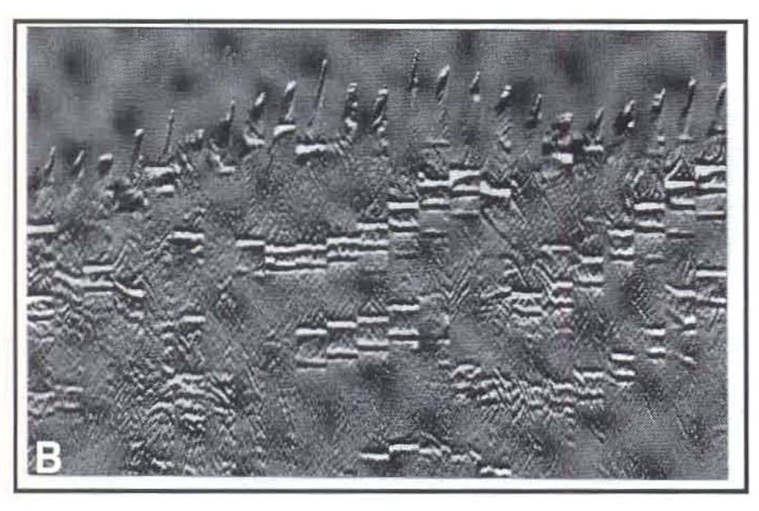 Fig. 05b