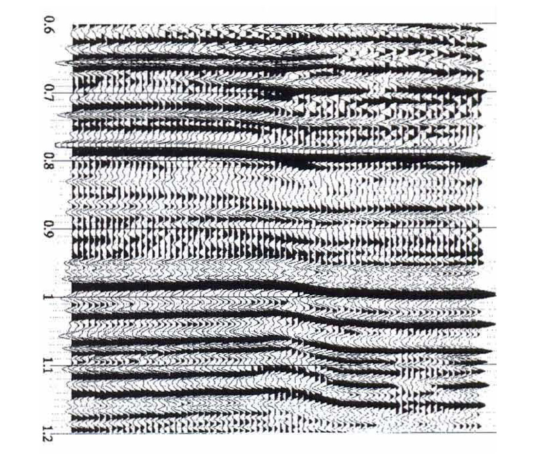 Fig. 06