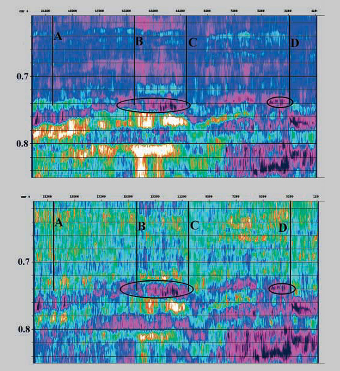 Fig. 13