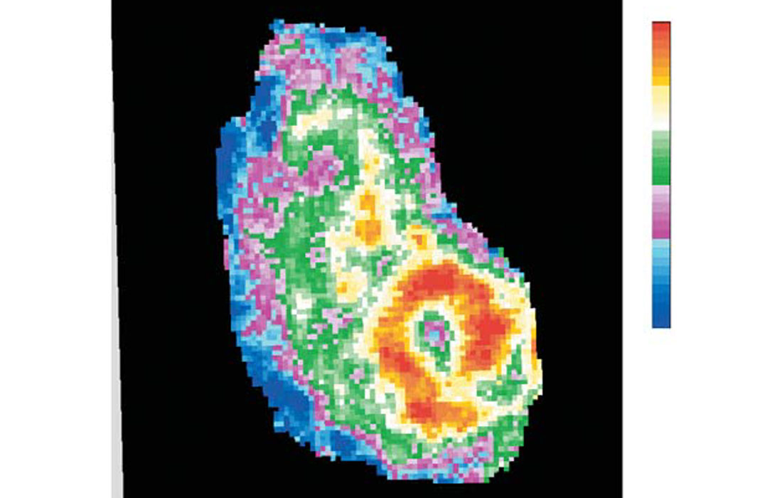 Fig. 02