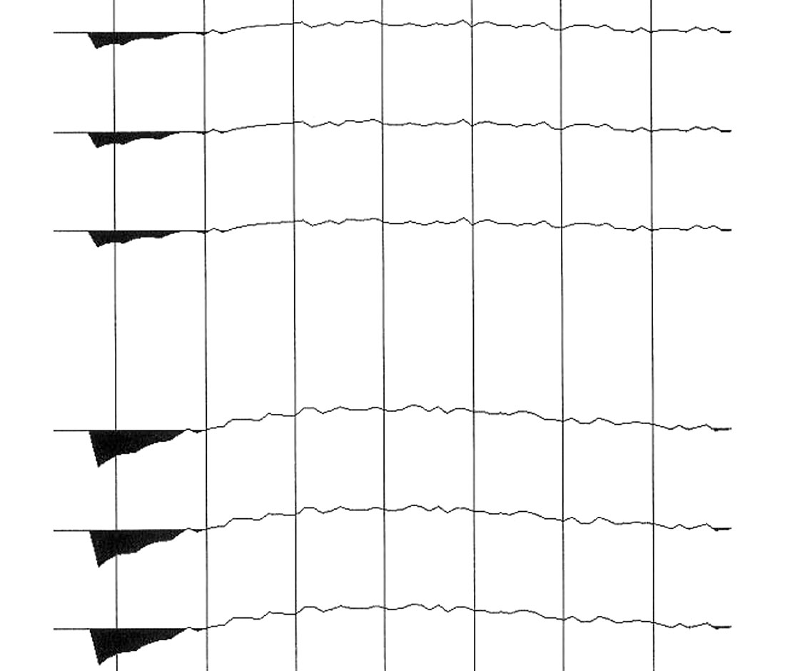 Fig. 07