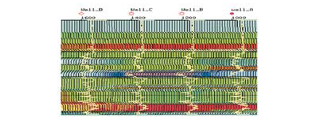 Fig. 06