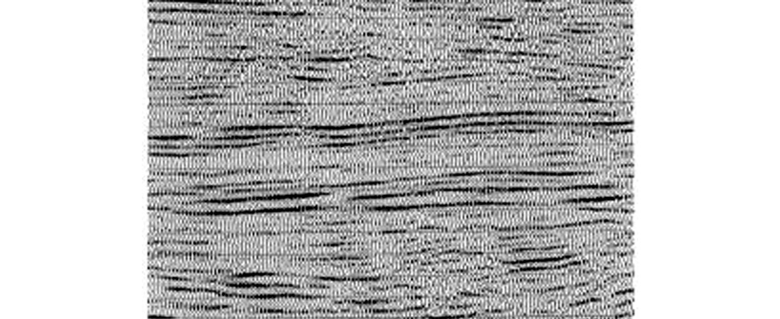 Fig. 01