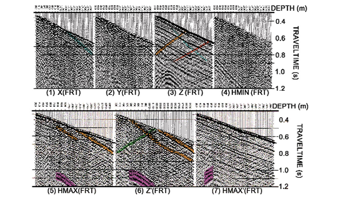 Fig. 07
