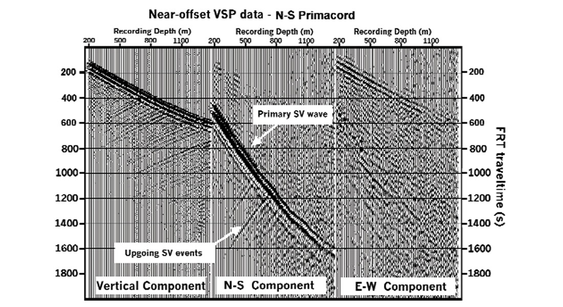 Fig. 19