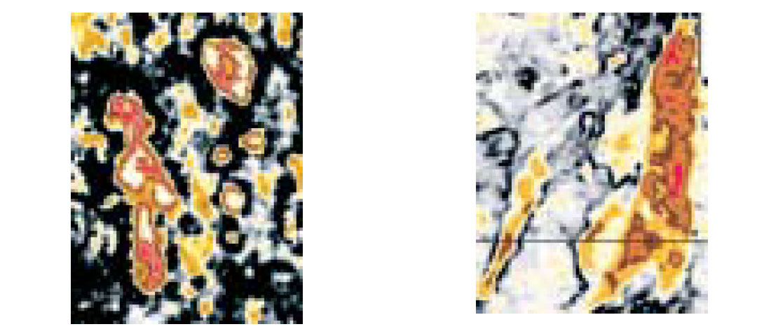 Fig. 05