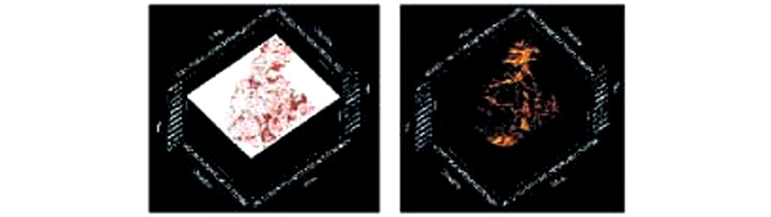 Fig. 01