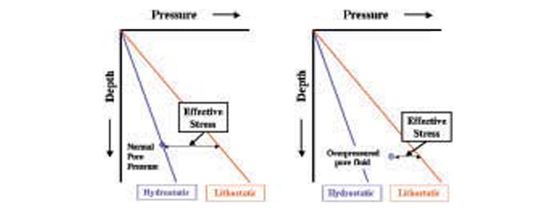 Fig. 01