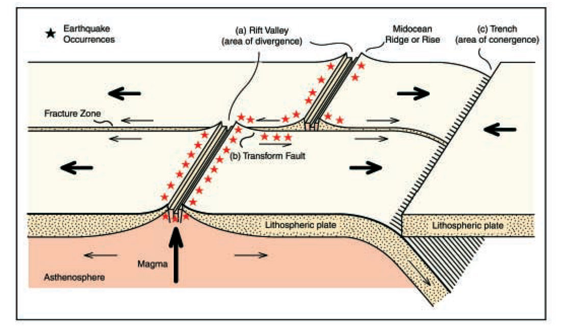 Fig. 03