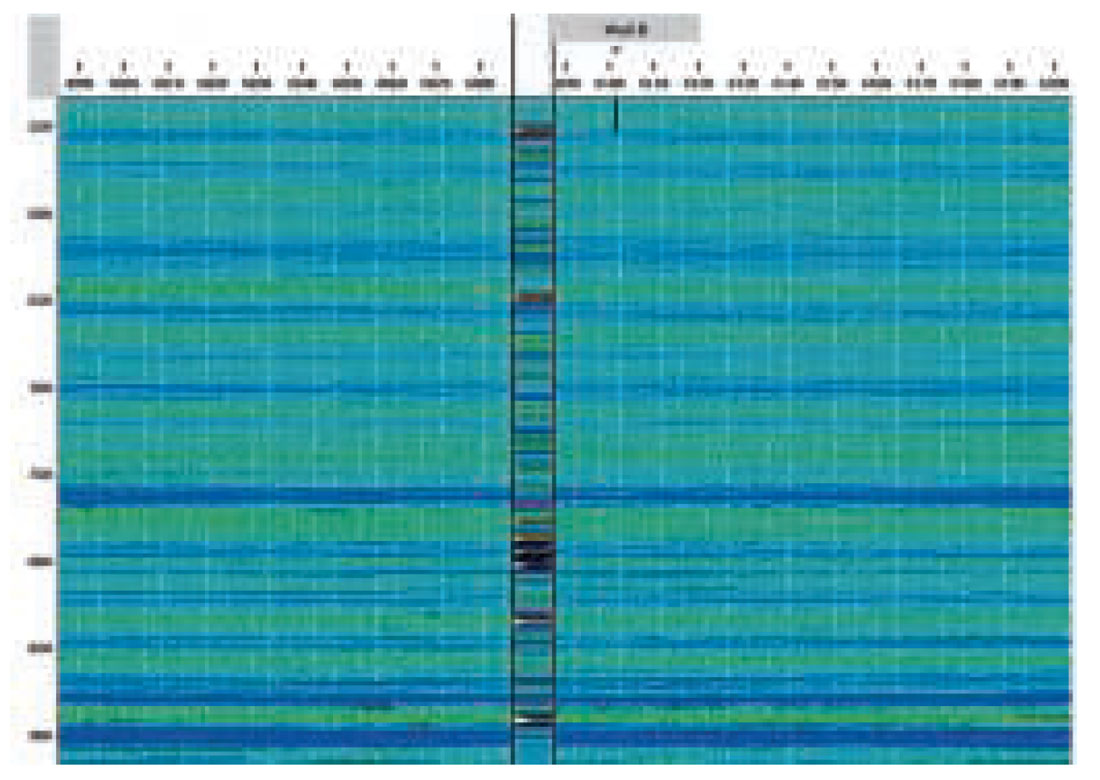 Fig. 06
