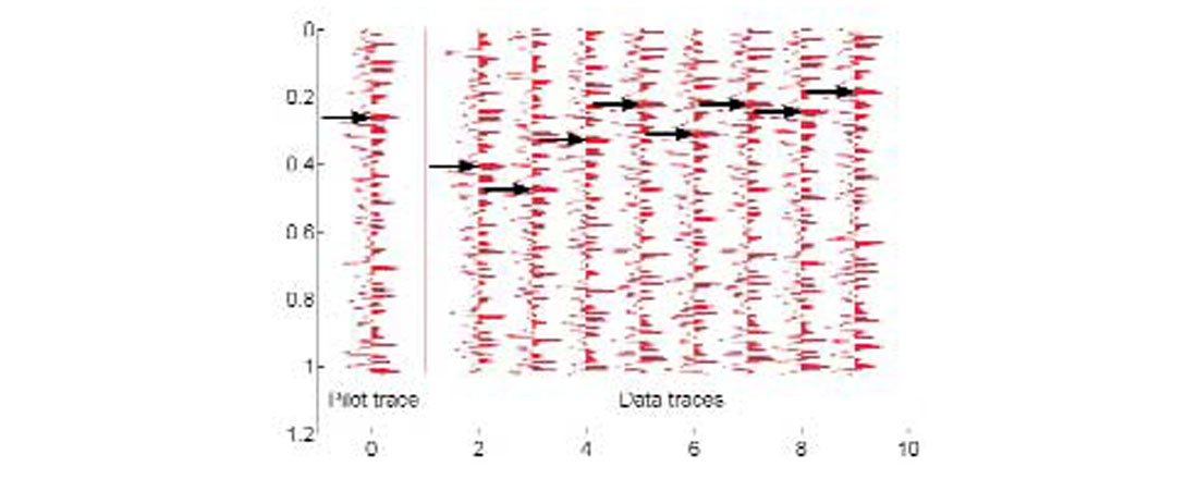 Fig. 10