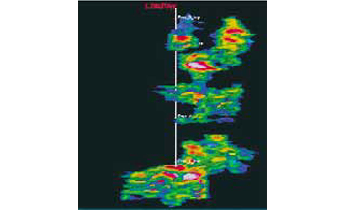 Fig. 07