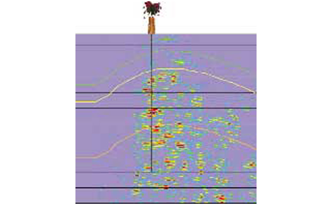 Fig. 12