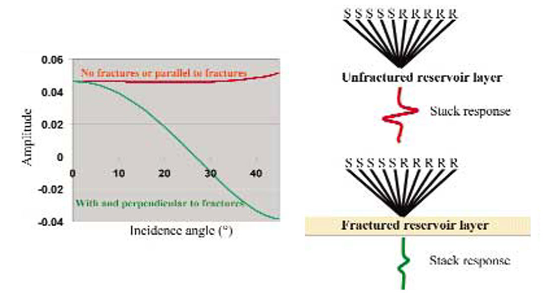 Fig. 07