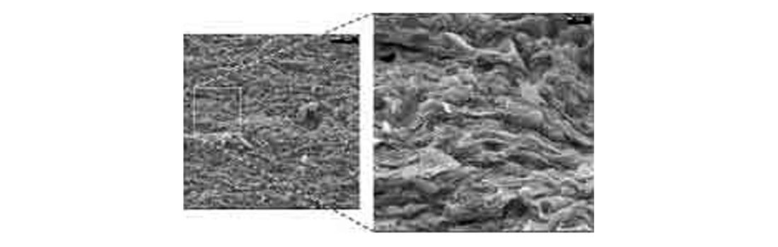 Fig. 02