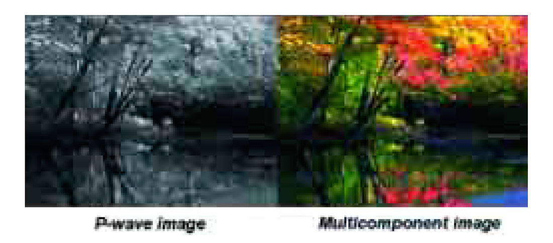 Fig. 10