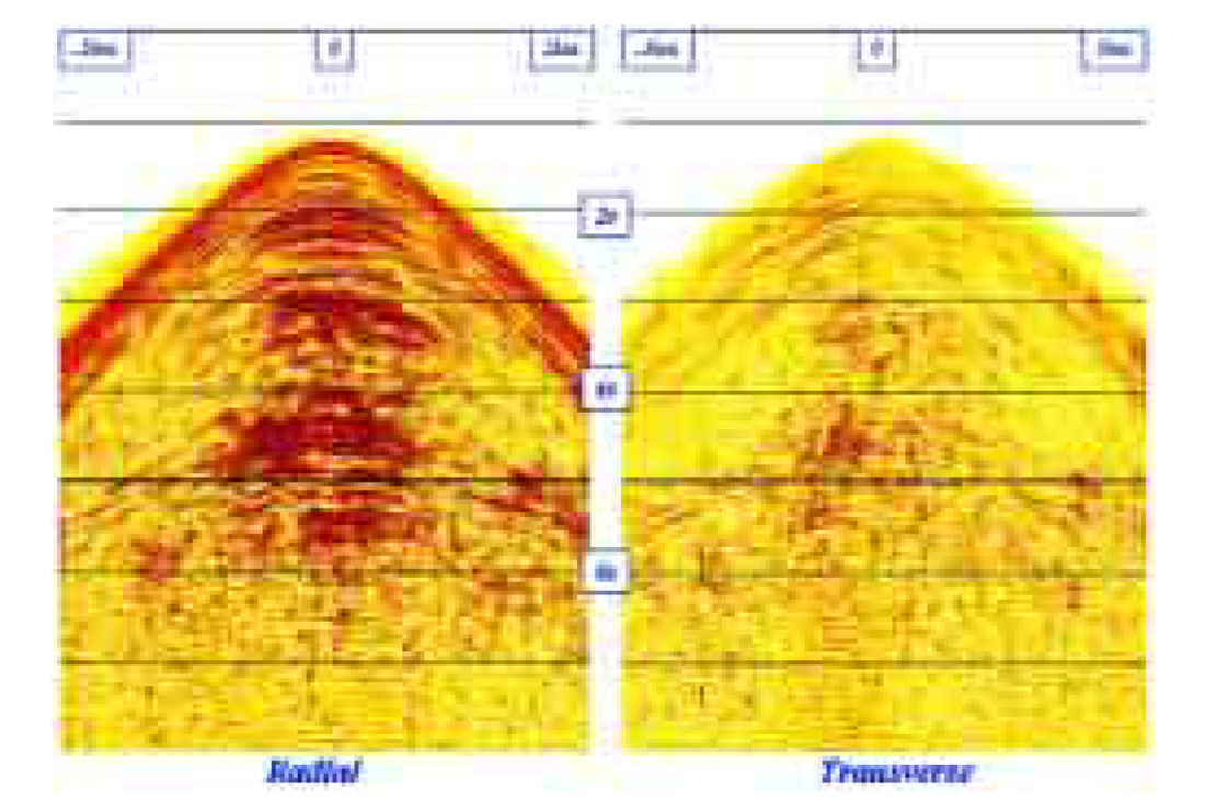 Fig. 04
