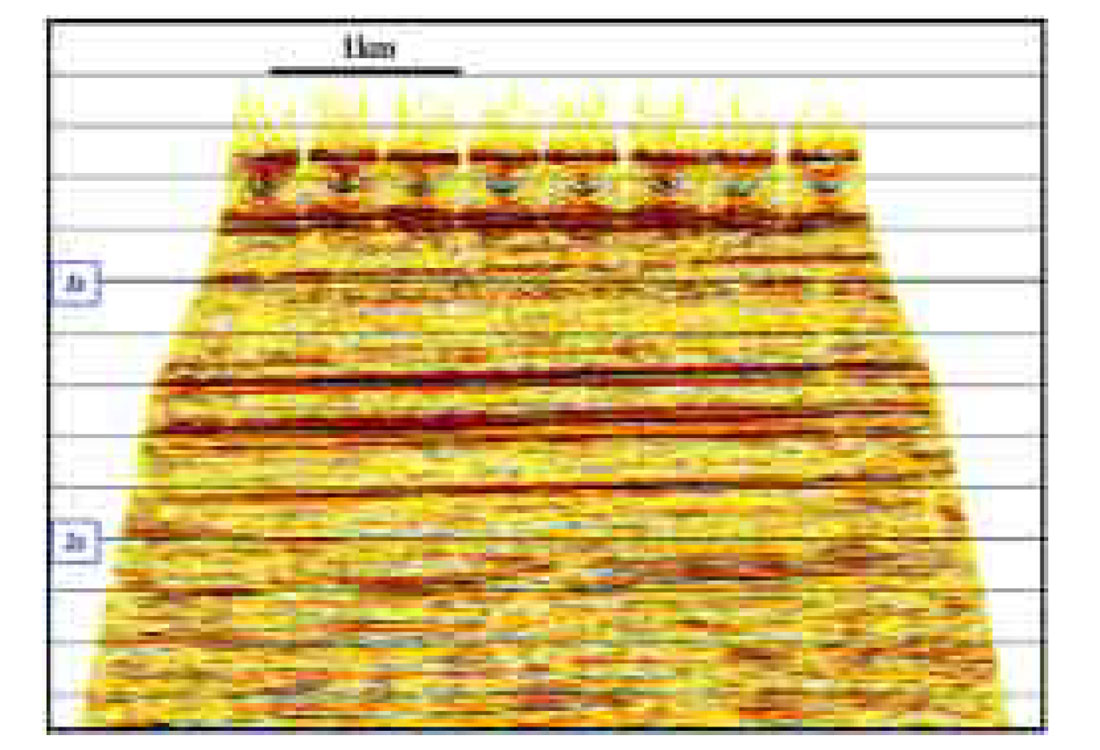Fig. 09