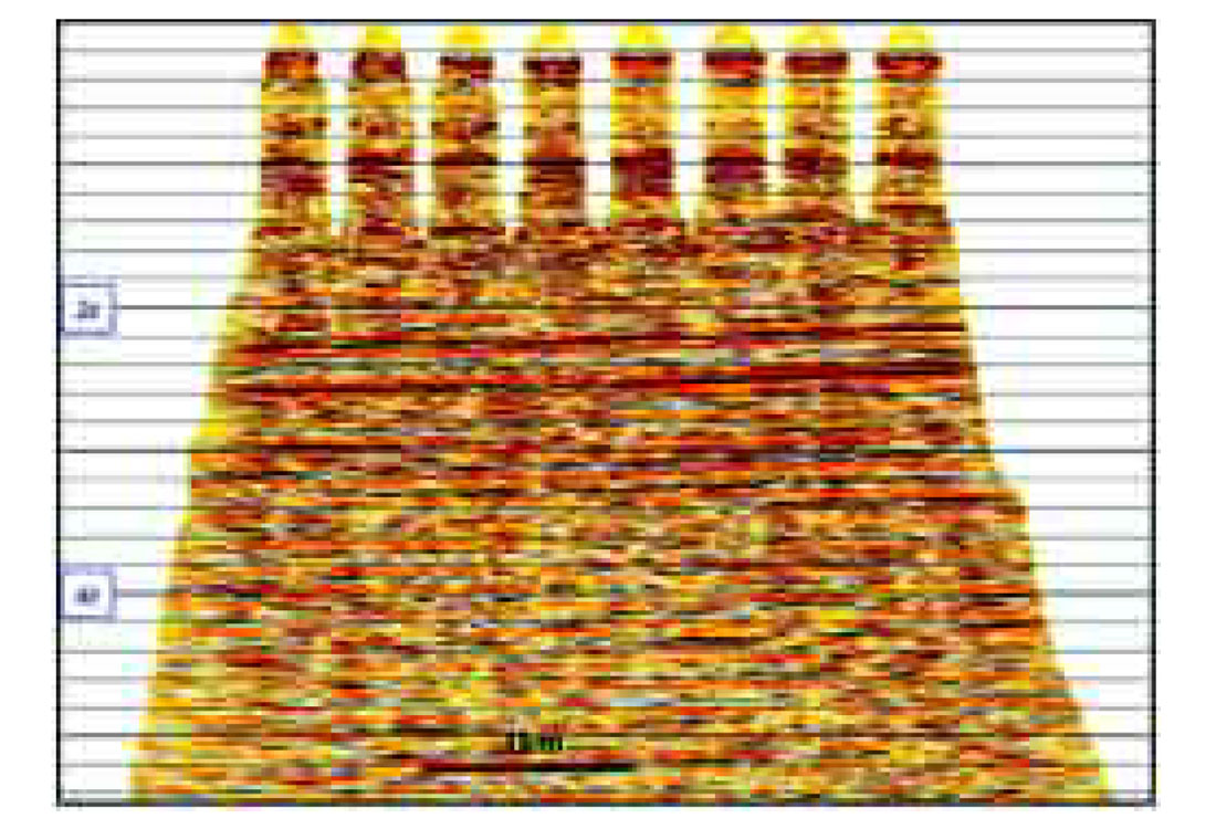 Fig. 11