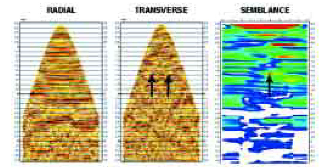 Fig. 12