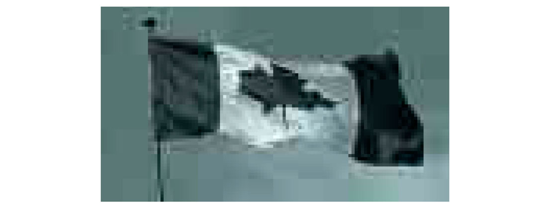 Fig. 13