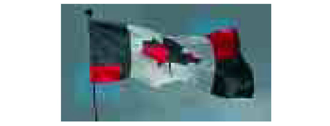 Fig. 15