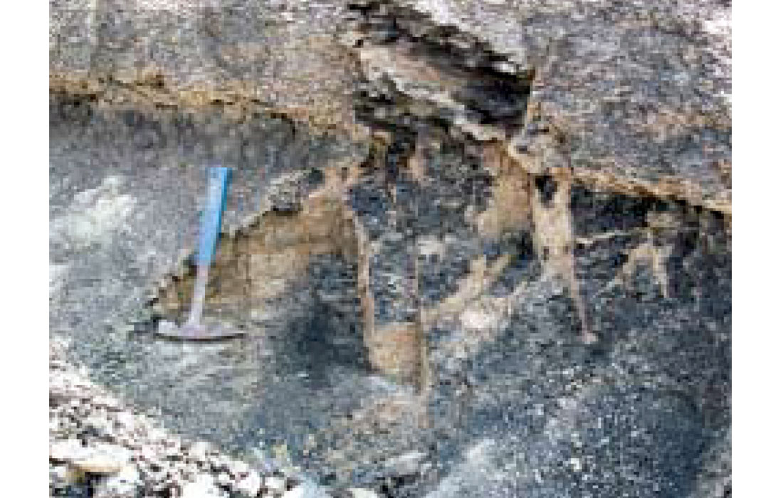 Fig. 8a