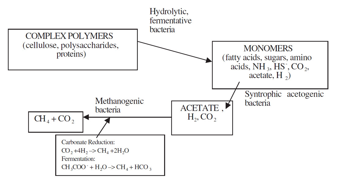 Fig. 01