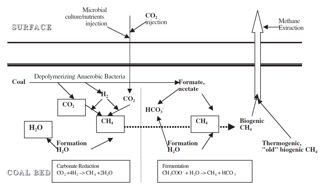 Fig. 02