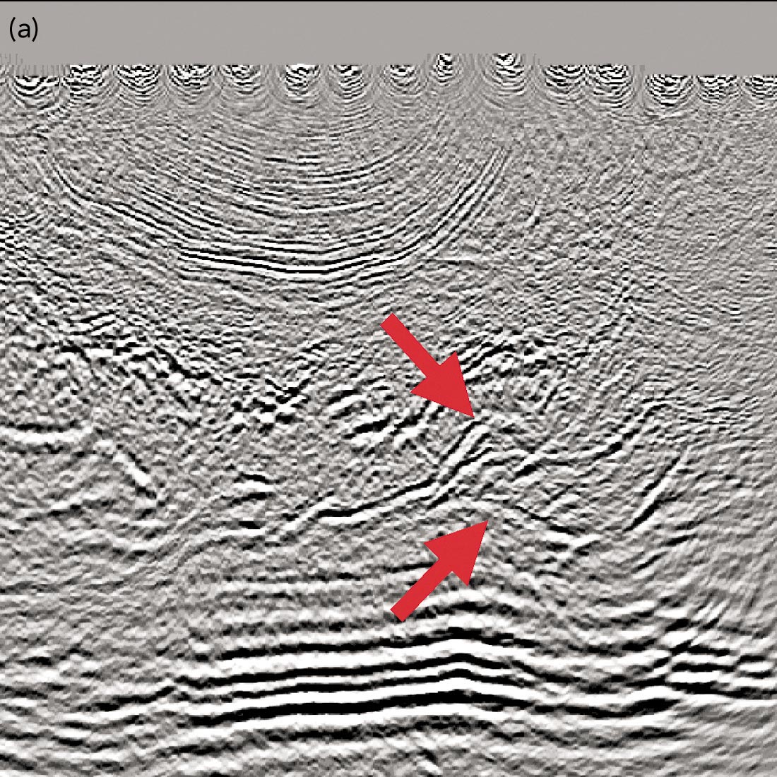 Fig. 01a