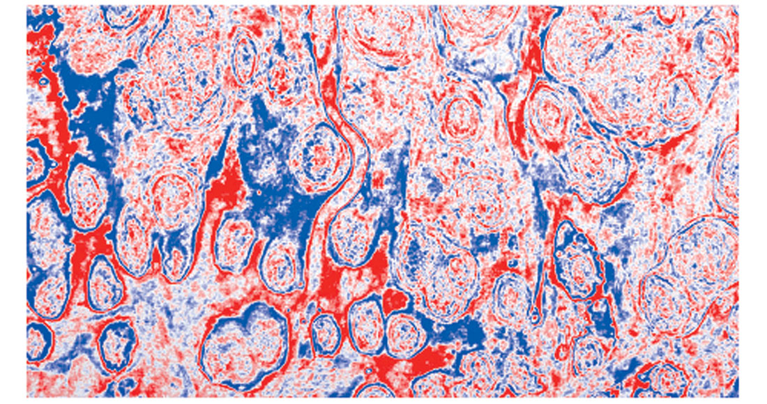 Fig. 10