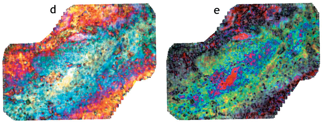 Fig. 11 d,e
