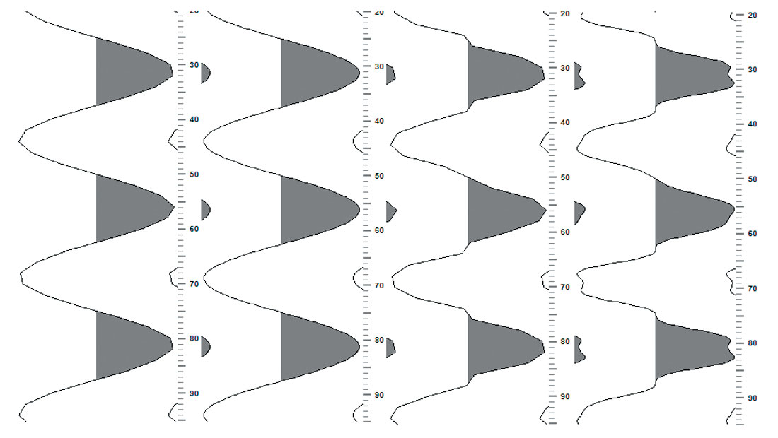 Fig. 06